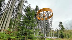 Der Disc-Golf-Parcours in Königsfeld erfreut sich großer Beliebtheit. Demnächst könnte er noch attraktiver werden. Foto: Helen Moser