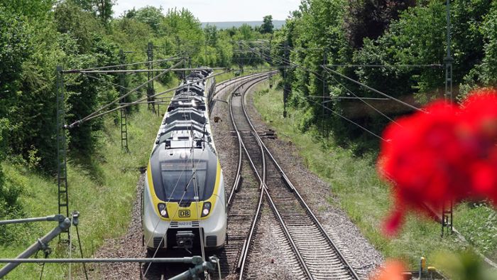 Züge der S8 und S81 entfallen zwischen Bondorf und Eutingen