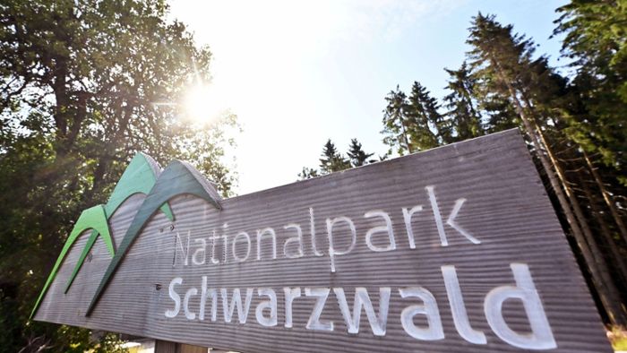 Nationalpark Schwarzwald: Erweiterung steht wohl kurz bevor
