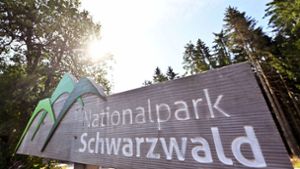 Eine Einigung könnte dafür sorgen, dass die beiden Teile des Nationalpark Schwarzwald bald vereint werden. Foto: dpa/Uli Deck