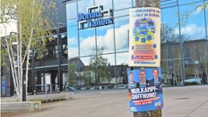 Wahlkampf in Donaueschingen: Bündnis plant Demo gegen AfD-Treffen