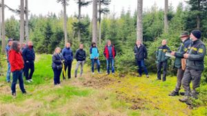 Zukunftsfähiger Waldbau: In Epfendorf legt der Gemeinderat die Leitlinie fürs nächste Jahrzehnt fest.