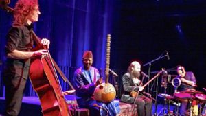 Konzert in Donaueschingen: Afrikanische Klänge entführen in Garten der Musik