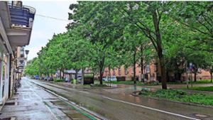 Straßenbaumfest in Offenburg darf wie geplant stattfinden
