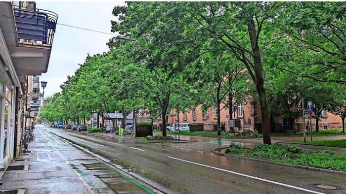 Straßenbaumfest in Offenburg darf wie geplant stattfinden