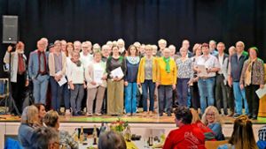 Auszeichnungen in Altensteig: Die Stadt würdigt ihre Ehrenamtlichen