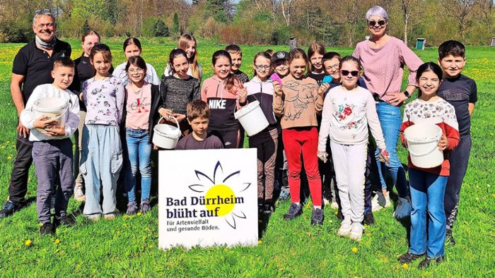 Wo sich Wildbienen in Bad Dürrheim  wohlfühlen