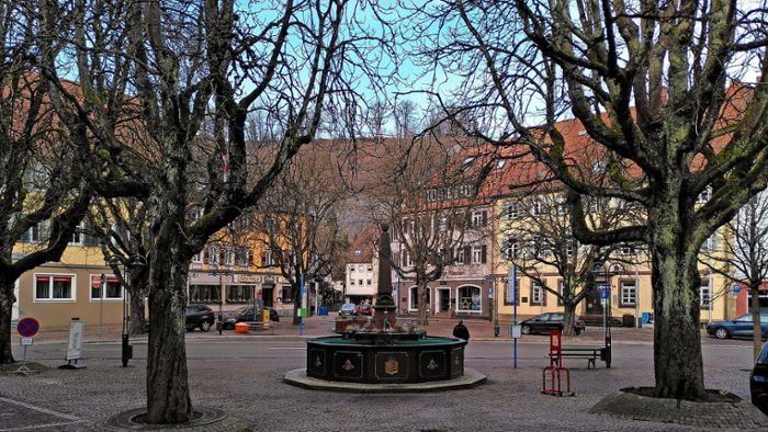 Gemeinderat Sulz: Neue Atmosphäre fürs Stadtzentrum