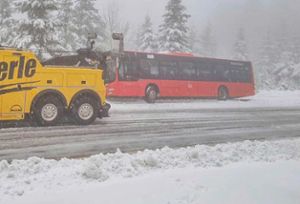 Ein Linienbus ist im Schneetreiben auf der Schwarzwaldhochstraße im Graben gelandet. Foto: Einsatz-Report24