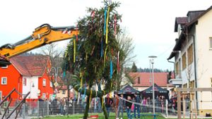 2019 stellte die Freiwillige Feuerwehr  den Maibaum mit schwerem Gerät in Gauselfingen auf. Foto: Bender