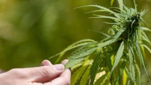 Kiffen in Balingen: Cannabis-Clubs und unsichere Behörden