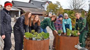 Girls’ Day in Rietheim: Wie Kräuter fachgerecht gepflanzt werden