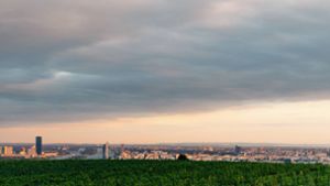 Was für ein Blick: Von den Wiener Weinbergen kann man die österreichische Hauptstadt überblicken. Foto: © WienTourismus/Julius Hirtzber/Julius Hirtzberger