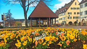 Wetter in Freudenstadt: Marktplatz zeigt sich im bunten Frühlingskleid