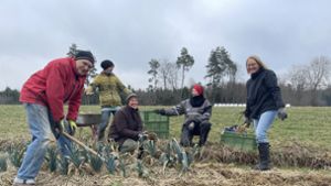 Solidarische Landwirtschaft in Rottweil: 35 Gemüsesorten werden gehegt und gepflegt