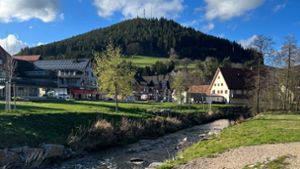 Brücke über den Forbach: Baiersbronn wechselt jetzt  die  Pferde