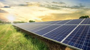 Anlage sorgt für Diskussionen: Deshalb ist Photovoltaik in Niedereschach umstritten