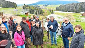 Naturschutz-Chaos in Lauterbach: So läuft das nächste Kapitel im  Mooswald-Fiasko