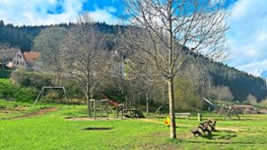 Attraktion für Friedrichstal: Spielplatz rund ums Thema Bergbau