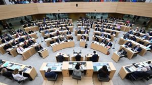 Im Landtag von Baden-Württemberg gelten strenge Regeln. Foto: dpa/Bernd Weißbrod