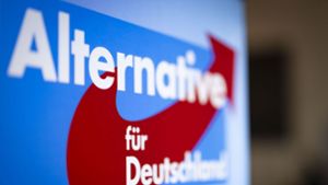 Die AfD-Spitze trifft sich in Donaueschingen zum Wahlkampfauftakt. Foto: dpa/Christoph Reichwein
